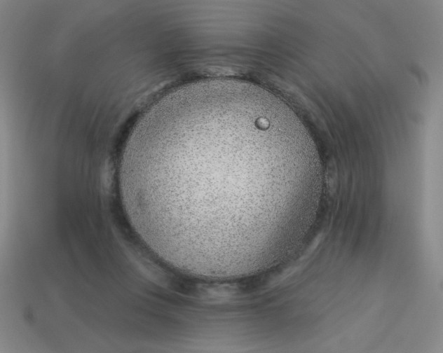 X0000113740359200910141009