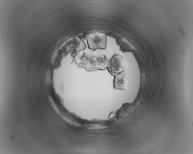 X0000113740361200910141009