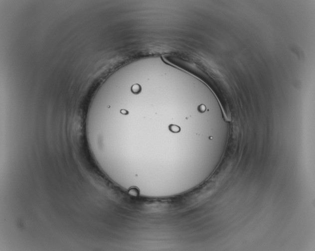 X0000113740362200910141009