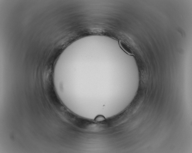 X0000113740364200910141009