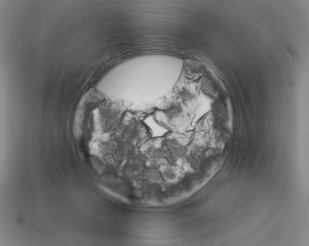 X0000113740365200910141009