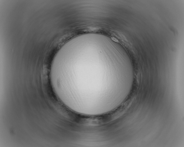 X0000113740366200910141009