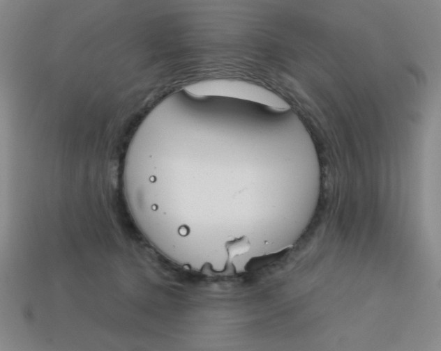 X0000113740368200910141009