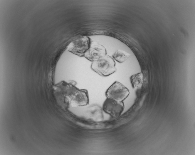 X0000113740369200910141009