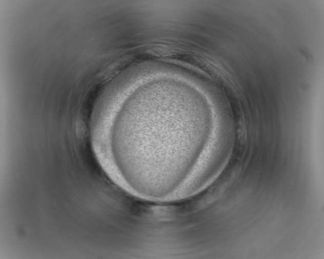 X0000113740371200910141009