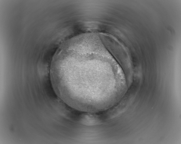 X0000113740372200910141009