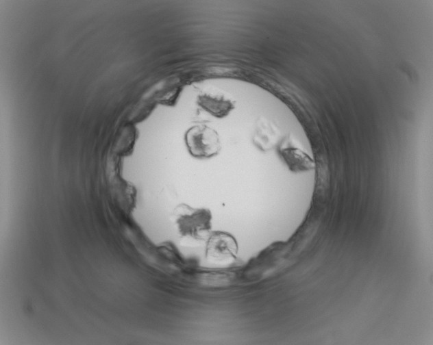 X0000113740373200910141009