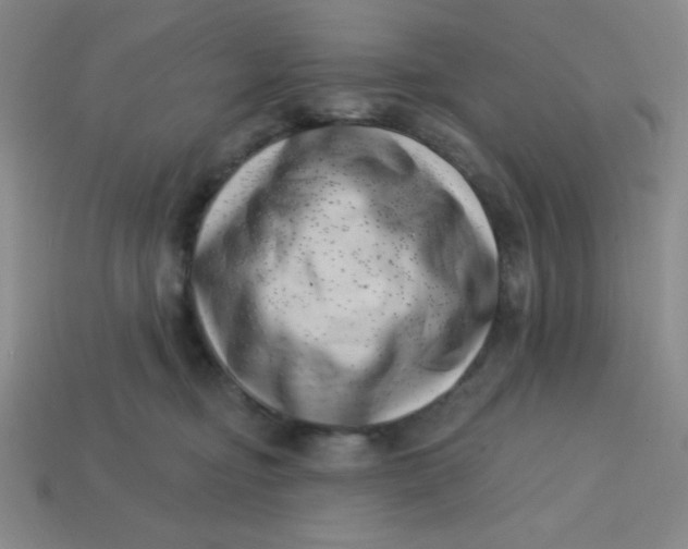 X0000113740374200910141009