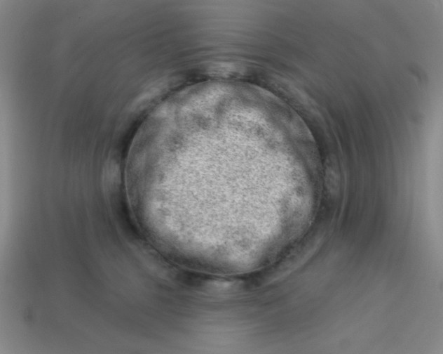 X0000113740375200910141009