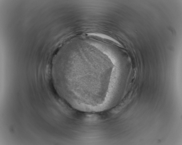 X0000113740376200910141009