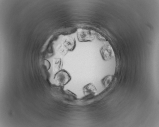 X0000113740377200910141009