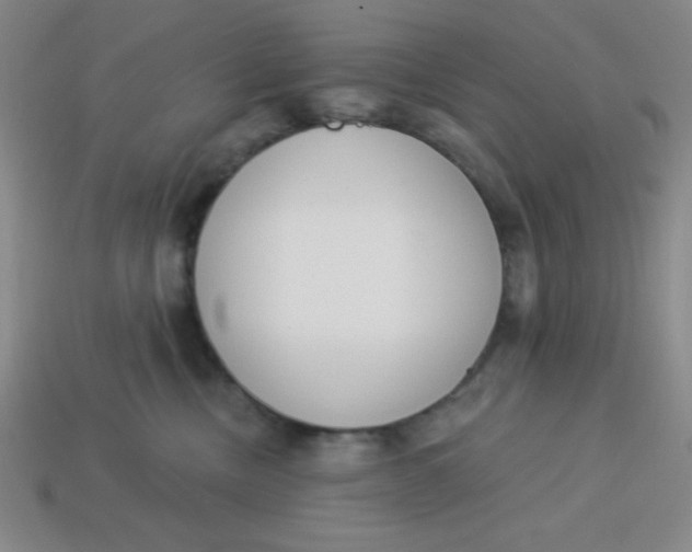 X0000113740378200910141009