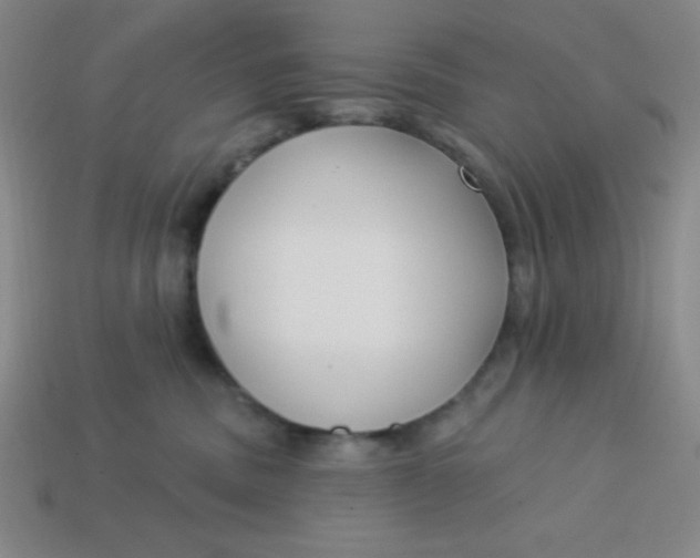 X0000113740379200910141009