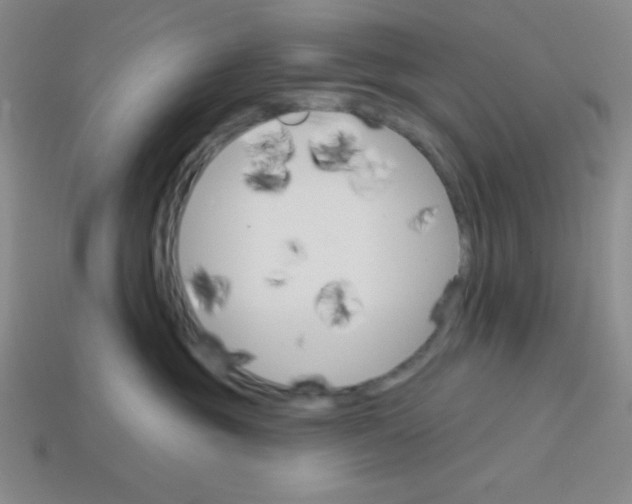 X0000113740381200910141009