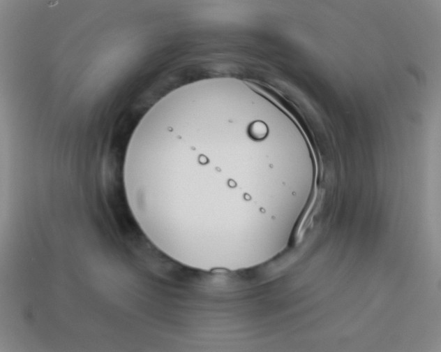 X0000113740382200910141009