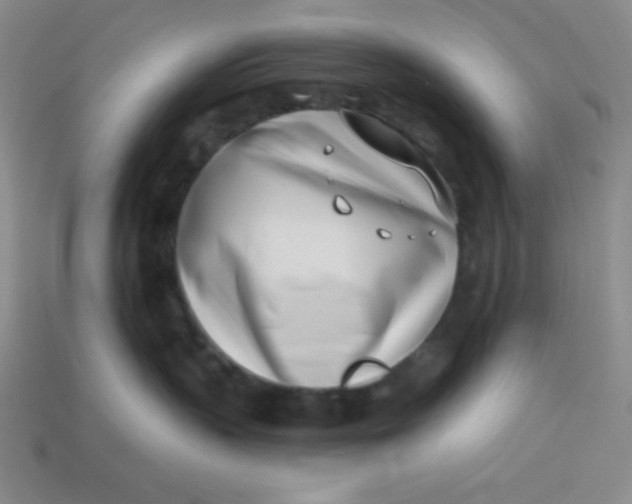 X0000113740383200910141009