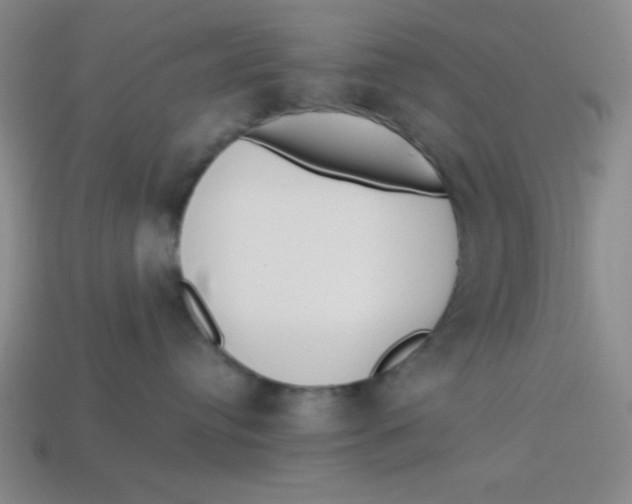 X0000113740384200910141009