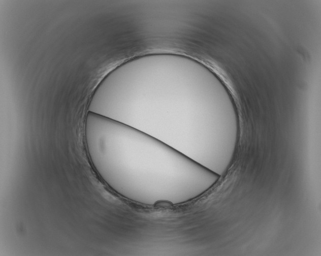 X0000113740385200910141008