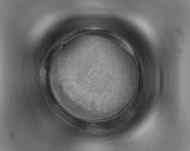 X0000113740387200910141008