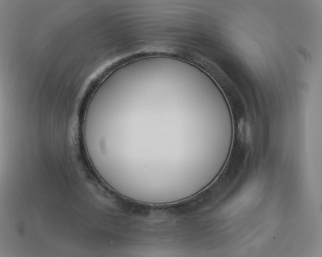 X0000113740388200910141008