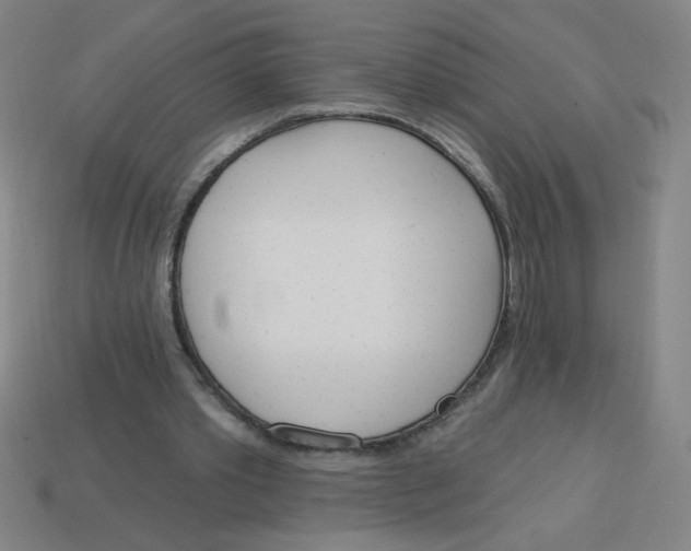 X0000113740389200910141008