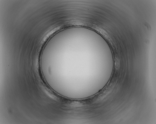 X0000113740390200910141008