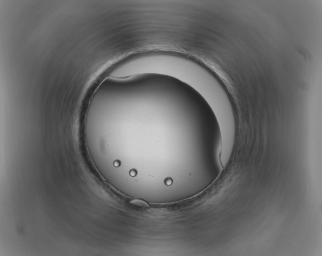 X0000113740391200910141008