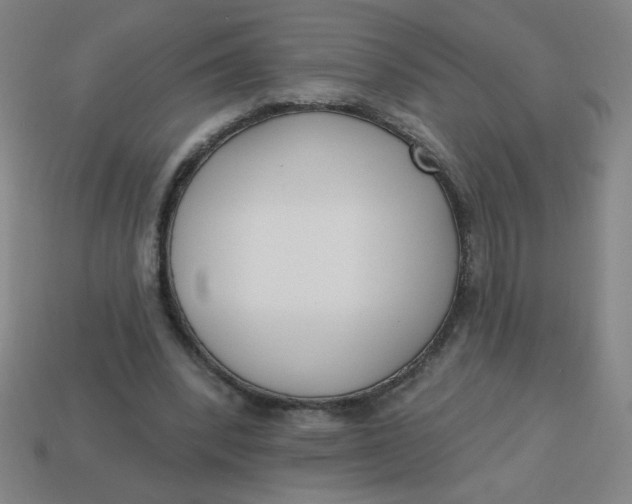 X0000113740392200910141008