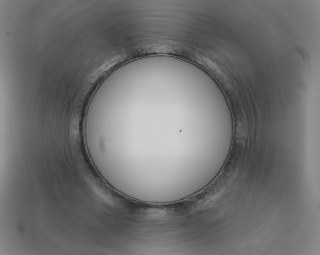 X0000113740394200910141008