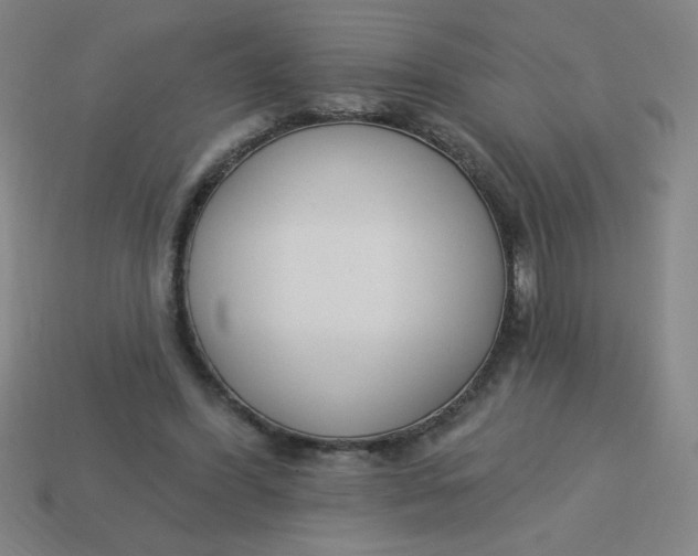 X0000113740396200910141008