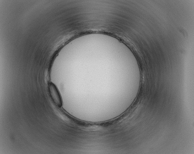 X0000113740397200910141008