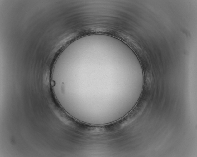 X0000113740398200910141008