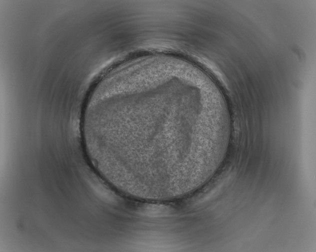 X0000113740399200910141008