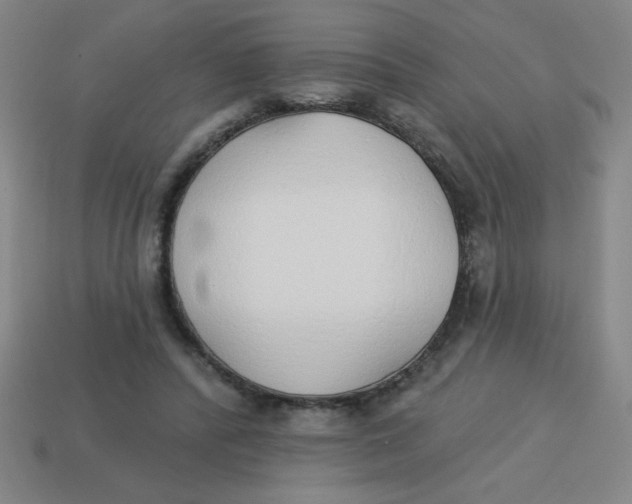 X0000113740400200910141008