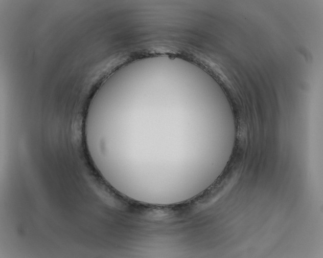 X0000113740402200910141008