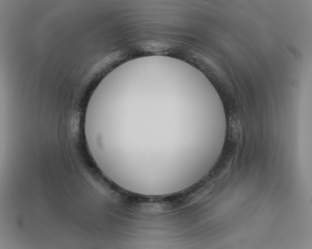 X0000113740404200910141008