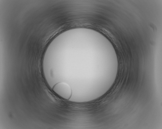 X0000113740405200910141008