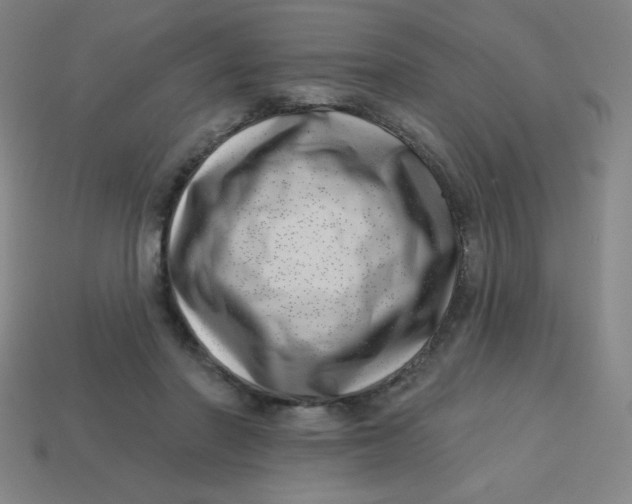 X0000113740406200910141008