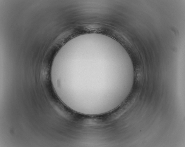 X0000113740408200910141008