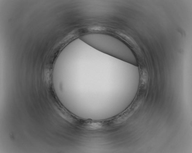 X0000113740409200910141008