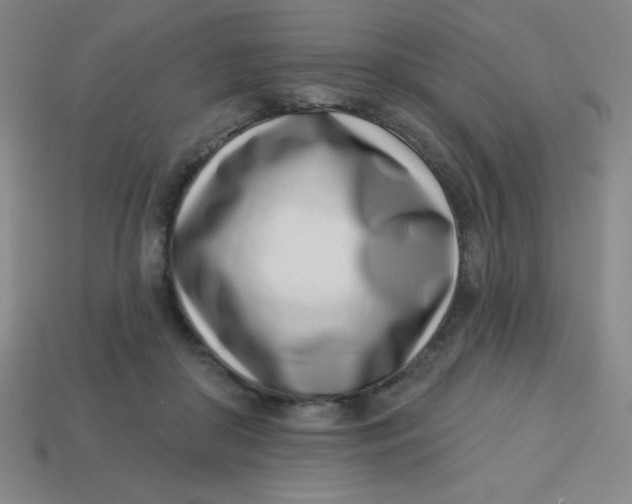 X0000113740410200910141008