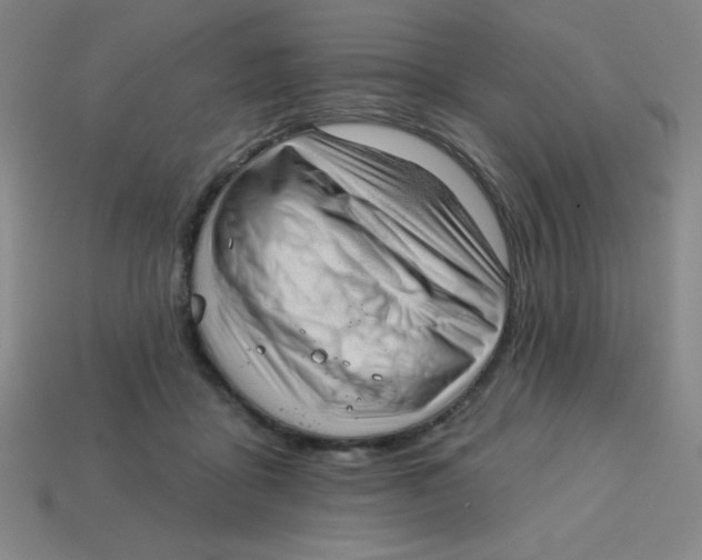 X0000113740411200910141008