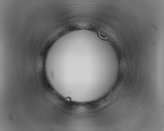 X0000113740412200910141008