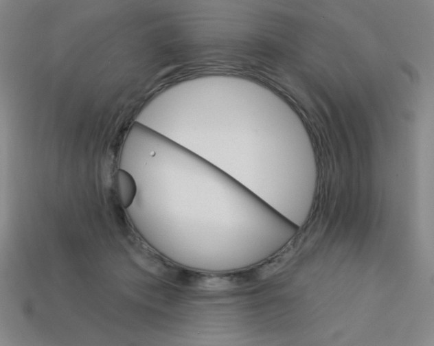 X0000113740413200910141008