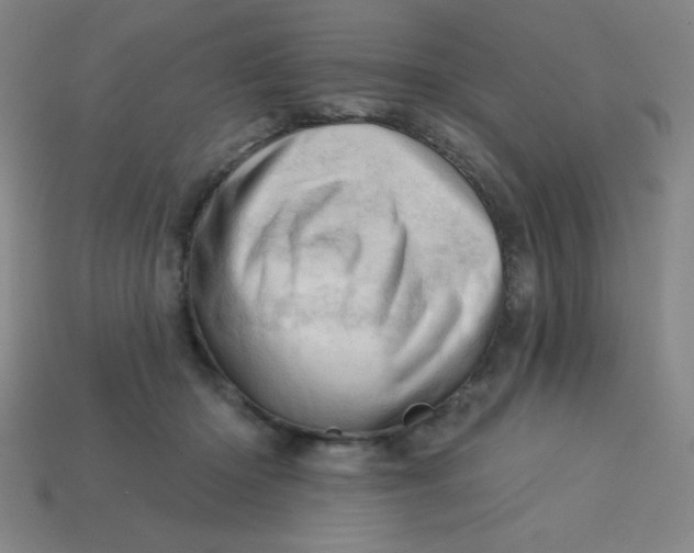 X0000113740414200910141008