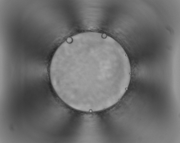 X0000113740415200910141008