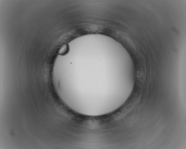 X0000113740416200910141008