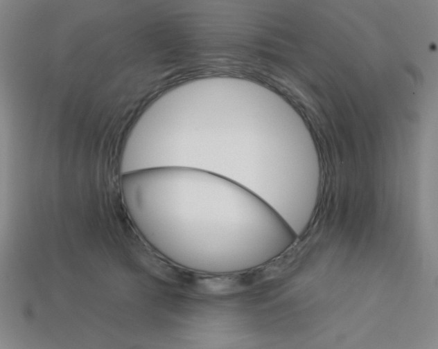 X0000113740417200910141008