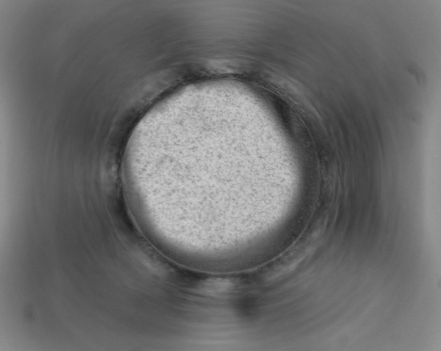 X0000113740418200910141008