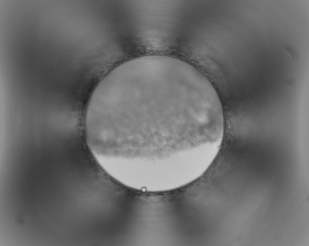 X0000113740419200910141008